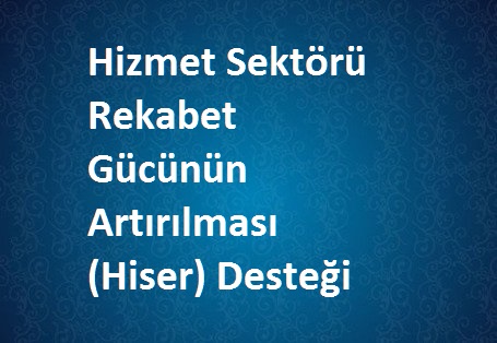 Hizmet Sektörü Rekabet Gücünün Artırılması (Hiser) Desteği