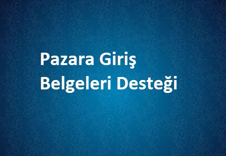 Pazara Giriş Belgeleri Desteği